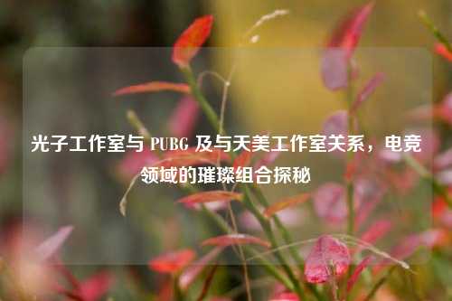 光子工作室与 PUBG 及与天美工作室关系，电竞领域的璀璨组合探秘