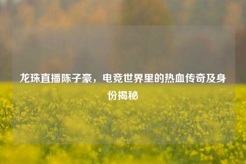 龙珠直播陈子豪,电竞世界里的热血传奇及身份揭秘