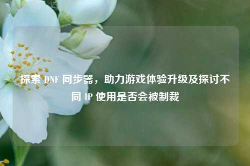 探索 DNF 同步器,助力游戏体验升级及探讨不同 IP 使用是否会被制裁
