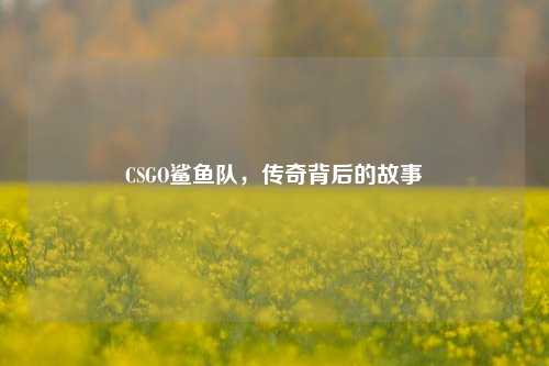 CSGO鲨鱼队,传奇背后的故事