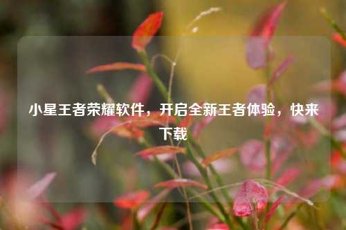 小星王者荣耀软件,开启全新王者体验,快来下载