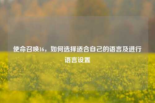 使命召唤16，如何选择适合自己的语言及进行语言设置