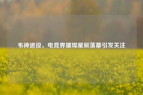 韦神退役，电竞界璀璨星辰落幕引发关注