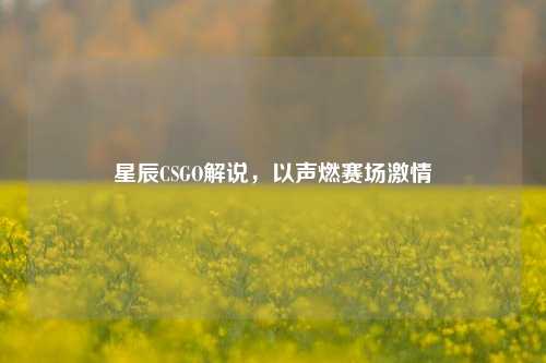 星辰CSGO解说,以声燃赛场激情