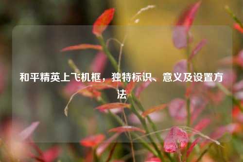 和平精英上飞机框，独特标识、意义及设置方法