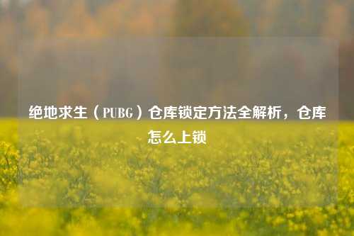 绝地求生(PUBG)仓库锁定方法全解析,仓库怎么上锁