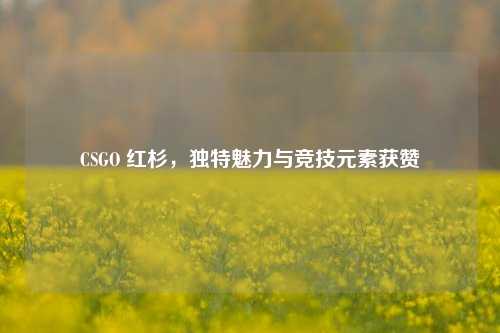 CSGO 红杉,独特魅力与竞技元素获赞