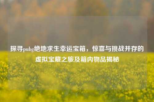 探寻pubg绝地求生幸运宝箱，惊喜与挑战并存的虚拟宝藏之旅及箱内物品揭秘