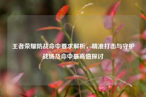 王者荣耀防战命中要求解析，精准打击与守护战场及命中最高值探讨