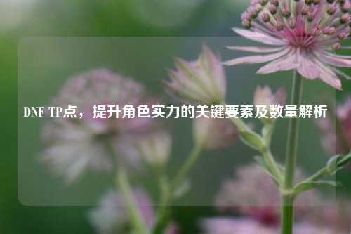 DNF TP点，提升角色实力的关键要素及数量解析
