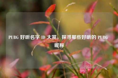 PUBG 好听名字 ID 大赏,探寻那些好听的 PUBG 昵称