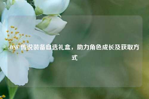 DNF 传说装备自选礼盒，助力角色成长及获取方式