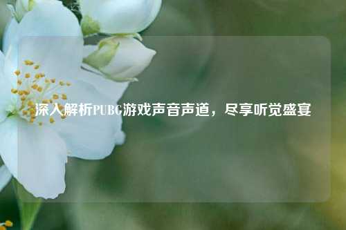 深入解析PUBG游戏声音声道，尽享听觉盛宴