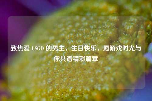 致热爱 CSGO 的男生，生日快乐，愿游戏时光与你共谱精彩篇章