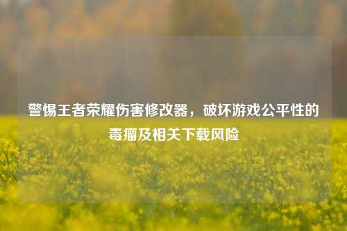 警惕王者荣耀伤害修改器，破坏游戏公平性的毒瘤及相关下载风险
