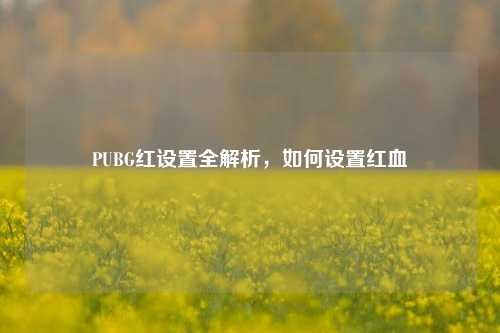 PUBG红设置全解析,如何设置红血