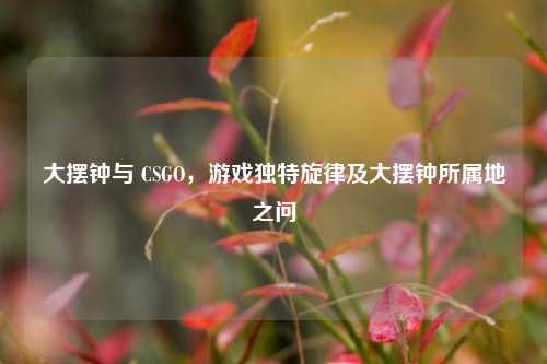 大摆钟与 CSGO，游戏独特旋律及大摆钟所属地之问