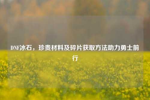 DNF冰石，珍贵材料及碎片获取方法助力勇士前行