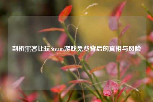 剖析黑客让玩Steam游戏免费背后的真相与风险