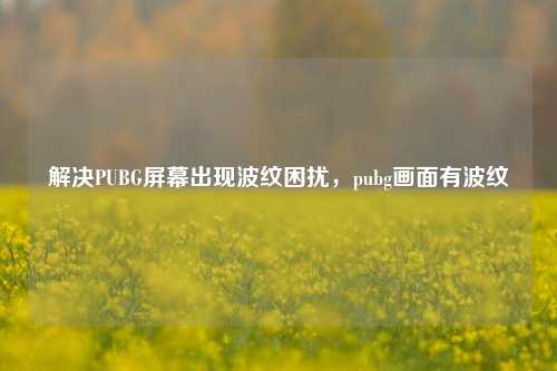 解决PUBG屏幕出现波纹困扰,pubg画面有波纹