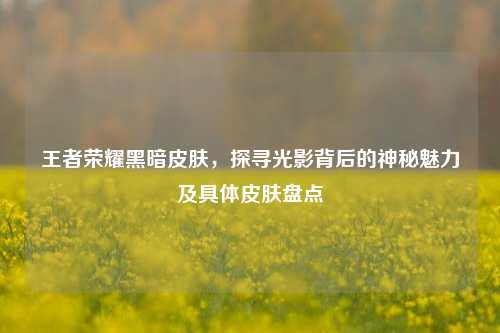 王者荣耀黑暗皮肤，探寻光影背后的神秘魅力及具体皮肤盘点