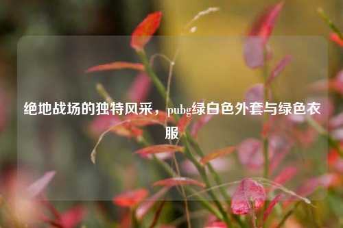 绝地战场的独特风采，pubg绿白色外套与绿色衣服