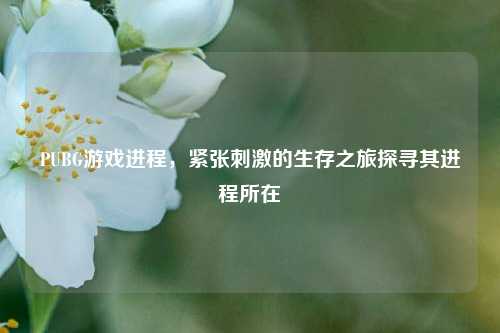 PUBG游戏进程，紧张刺激的生存之旅探寻其进程所在