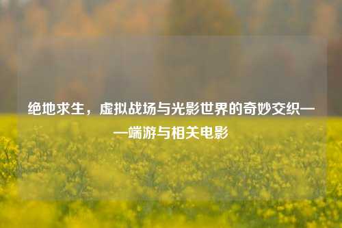 绝地求生，虚拟战场与光影世界的奇妙交织——端游与相关电影