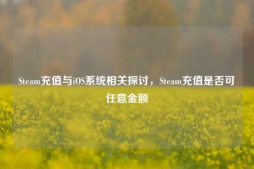 Steam充值与iOS系统相关探讨,Steam充值是否可任意金额