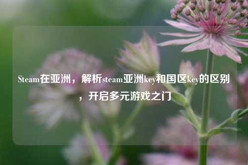 Steam在亚洲，解析steam亚洲key和国区key的区别，开启多元游戏之门