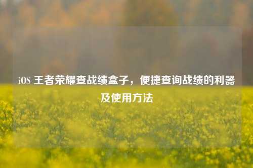 iOS 王者荣耀查战绩盒子，便捷查询战绩的利器及使用方法