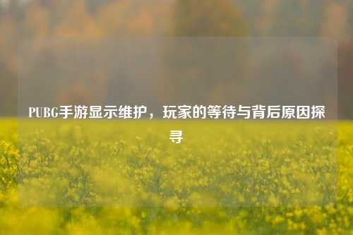 PUBG手游显示维护，玩家的等待与背后原因探寻