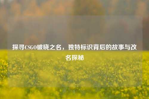 探寻CSGO破晓之名,独特标识背后的故事与改名探秘