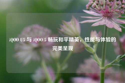 iQOO U5 与 iQOO 5 畅玩和平精英，性能与体验的完美呈现