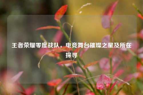 王者荣耀零度战队,电竞舞台璀璨之星及所在探寻