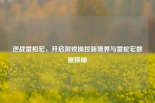 逆战雷柏宏,开启游戏操控新境界与雷蛇宏数据探秘