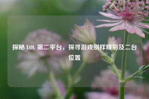 探秘 LOL 第二平台，探寻游戏别样精彩及二台位置