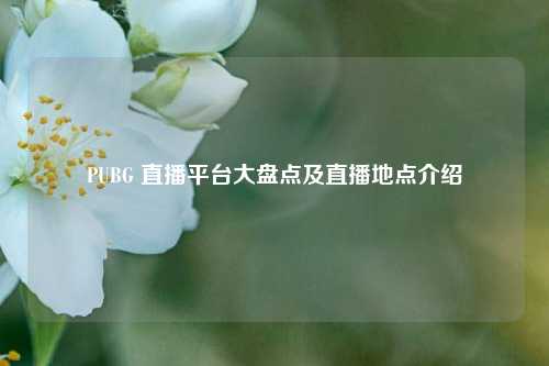 PUBG 直播平台大盘点及直播地点介绍