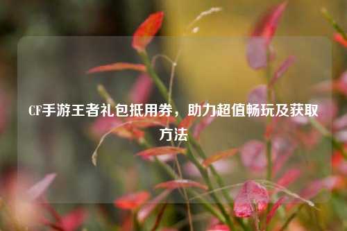 CF手游王者礼包抵用券，助力超值畅玩及获取方法