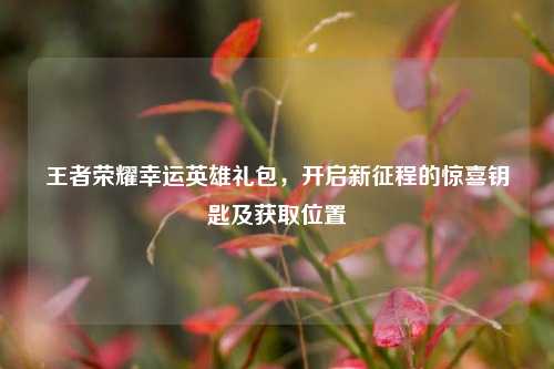 王者荣耀幸运英雄礼包,开启新征程的惊喜钥匙及获取位置
