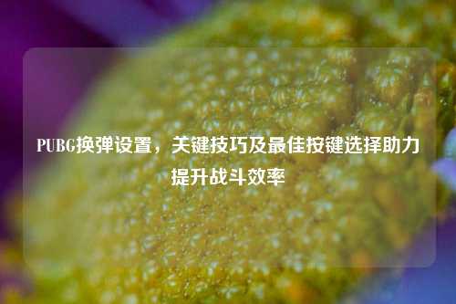 PUBG换弹设置，关键技巧及最佳按键选择助力提升战斗效率