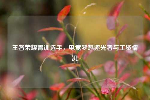 王者荣耀青训选手,电竞梦想逐光者与工资情况