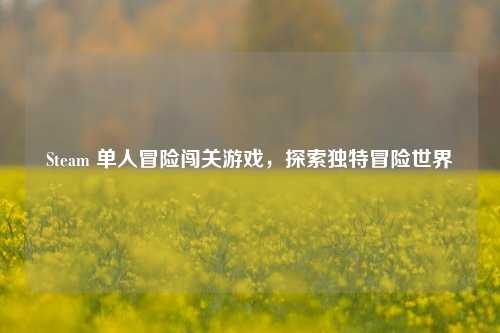 Steam 单人冒险闯关游戏,探索独特冒险世界