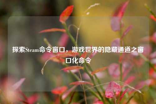 探索Steam命令窗口，游戏世界的隐藏通道之窗口化命令