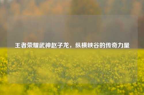 王者荣耀武神赵子龙，纵横峡谷的传奇力量