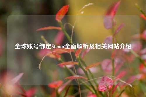 全球账号绑定Steam全面解析及相关网站介绍