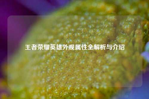 王者荣耀英雄外观属性全解析与介绍