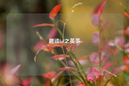 趣谈lol之英茶