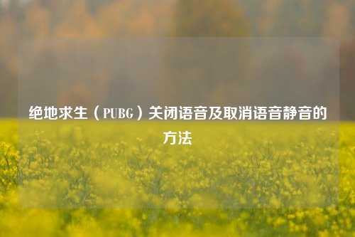 绝地求生（PUBG）关闭语音及取消语音静音的方法