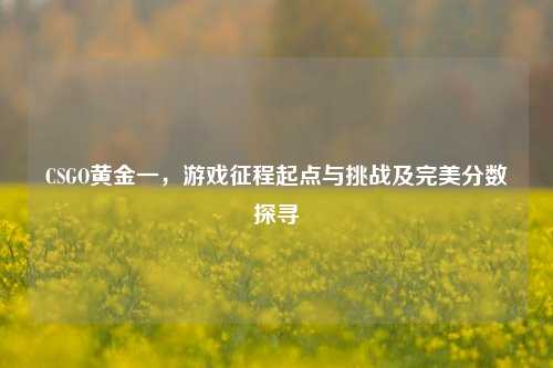 CSGO黄金一,游戏征程起点与挑战及完美分数探寻
